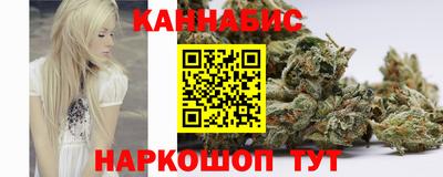 прущие крисы Будённовск