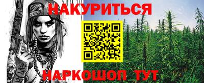 прущие крисы Будённовск