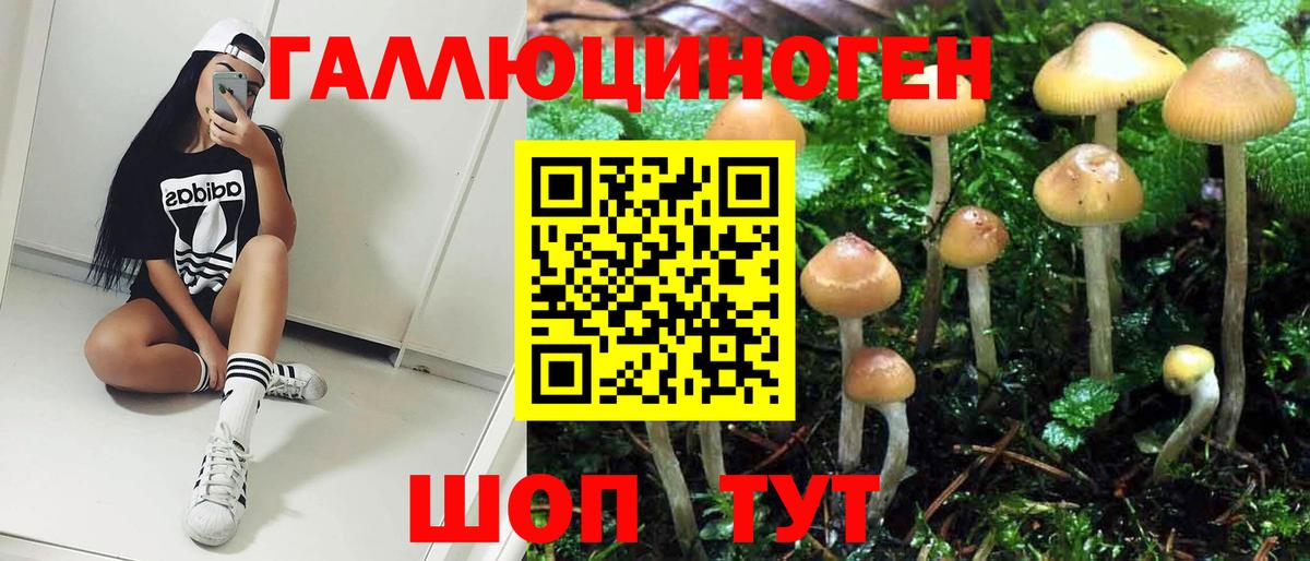 Псилоцибиновые грибы Psilocybine cubensis  Вход с VPN  Кропоткин  Галлюциногенные грибы мухоморы 